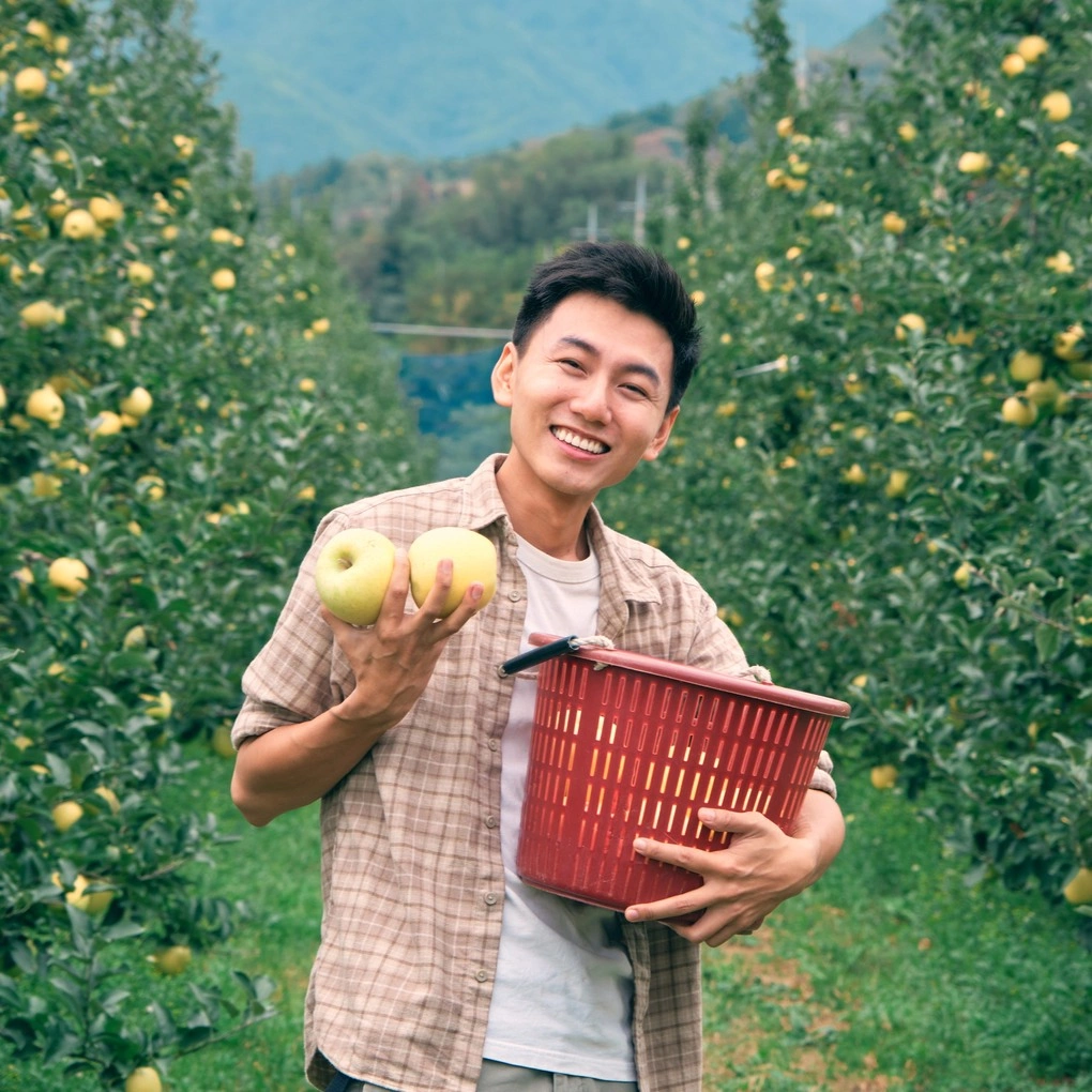 khoai-lang-thang